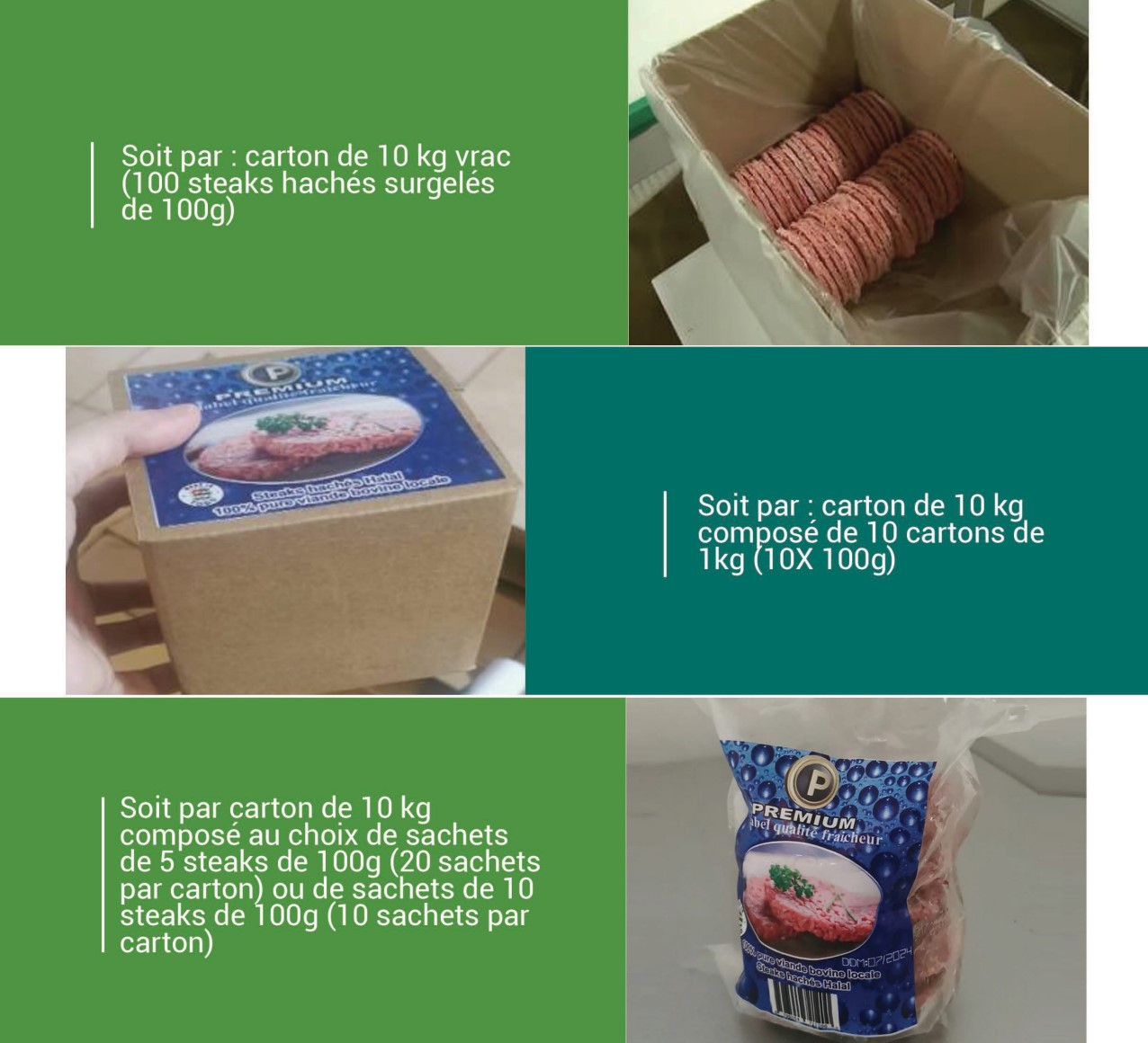 BACOTRANS